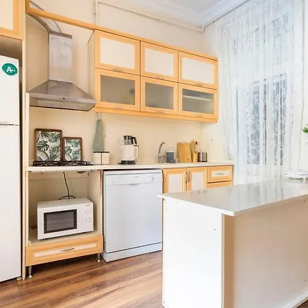 Apartamento In The Center Of Cihangir *