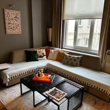 Apartamento In The Center Of Cihangir